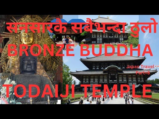 Todaiji Temple at Nara| Japan Travel Diary| सनसारकै सबैभन्दा ठुलो Bronze Buddha| Amrita Time