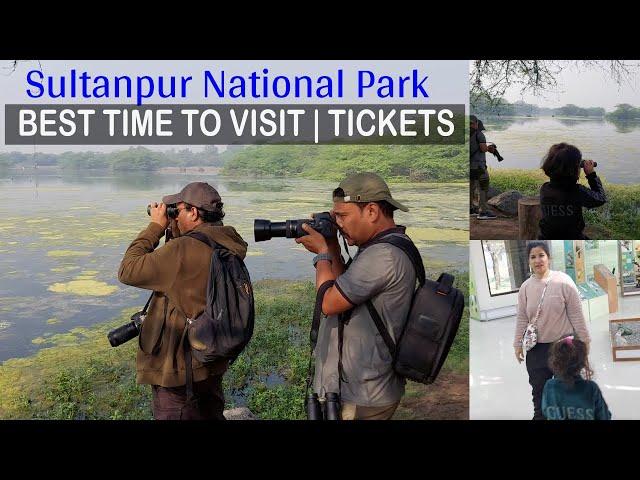 Sultanpur National Park 2023 Visit - A Bird's Paradise | Best Time To Visit With All Information