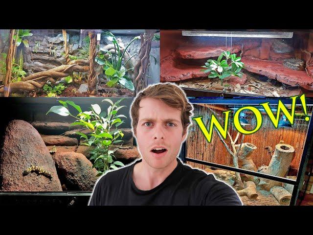 REACTING To YOUR Reptile Enclosures!