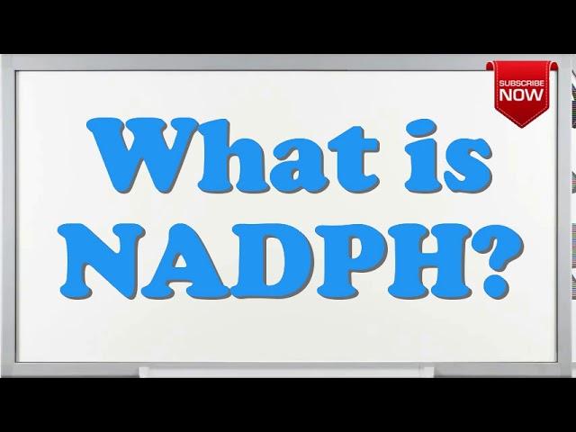 What is the full form of NADPH?