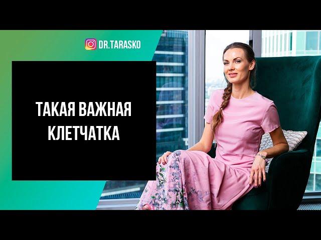 Такая важная клетчатка | Эфир на ТВЦ