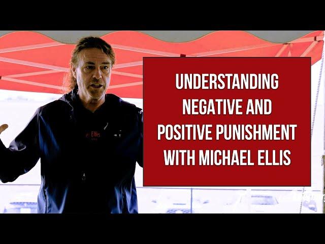 Understanding Negative and Positive Punishment with Michael Ellis