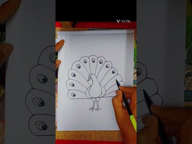 How to draw Peacock!! Easy peacock drawing step by step