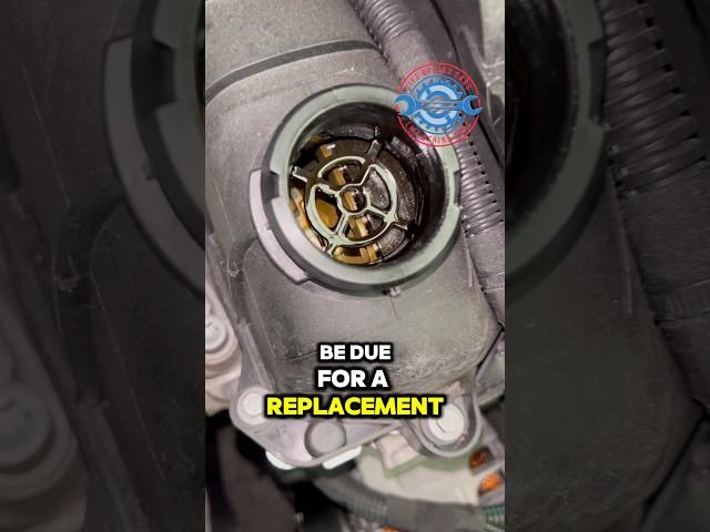 Is this one-year-old Citroën C3 PureTech’s wet belt due for replacement?  #Citroen #C3PureTech