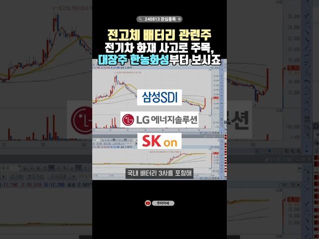 ▶전고체 배터리 대장주 한농화성