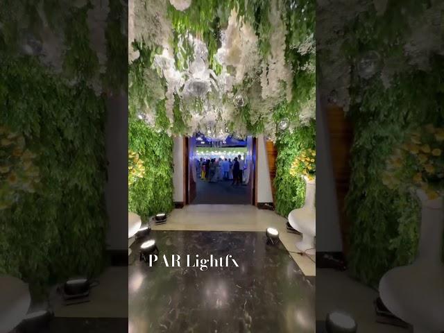 LIGHTING FOR PASSAGE | PASSAGE DECOR | #parlightfx #ytshorts #decor #youtubeshorts #viral #like #fyp