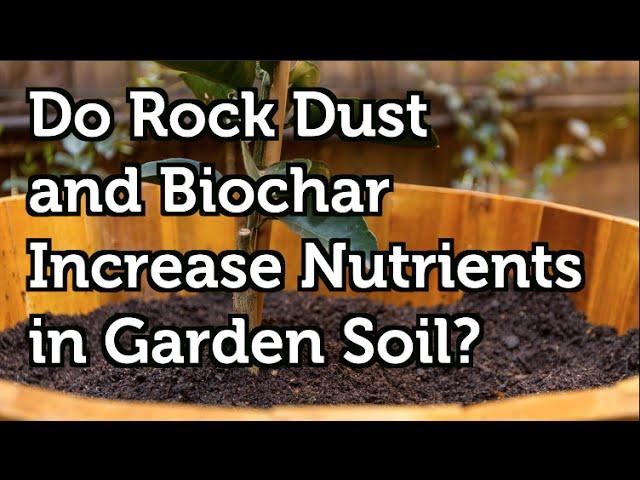 Do Rock Dust and Biochar Increase nutrients including trace elements in Garden Soil?