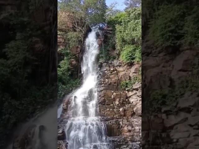 #waterfall#kongalawaterfall #telangana#hyderabad #ytshortsindia #viralshorts#shorts#viral #pleasant