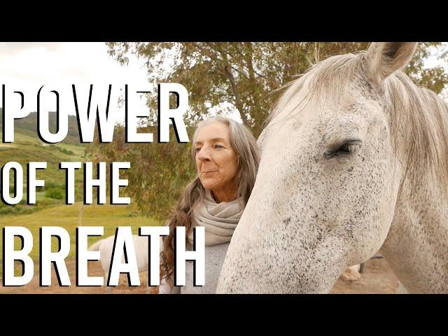 The Power of the Breath