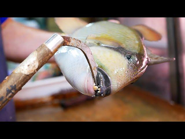 Japanese Street Food - TITAN TRIGGERFISH SASHIMI Okinawa Seafood Japan