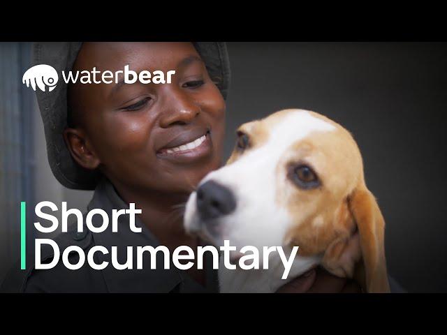 The Anti-Poaching Dog Squad | Short Documentary | WaterBear