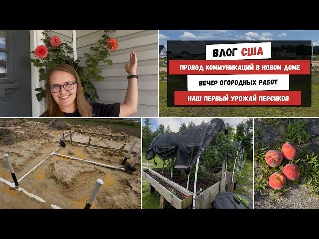 Провод Коммуникаций в Новом Доме | Вечер Огородных Работ | Наш Первый Урожай Персиков