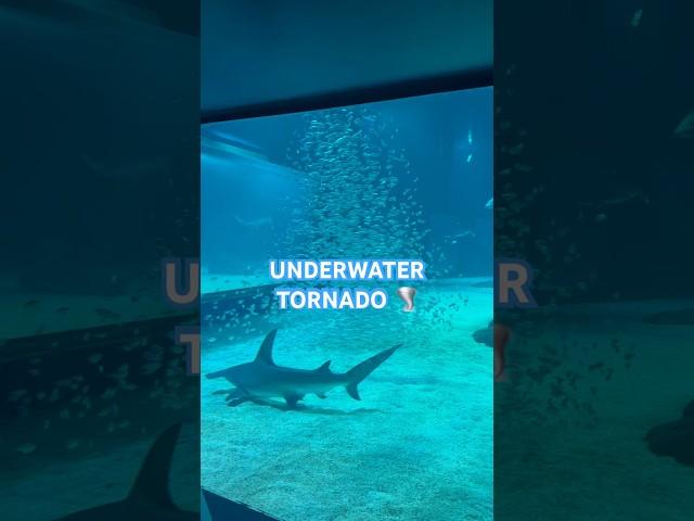 Underwater Tornado️ #tornado #storm #shorts