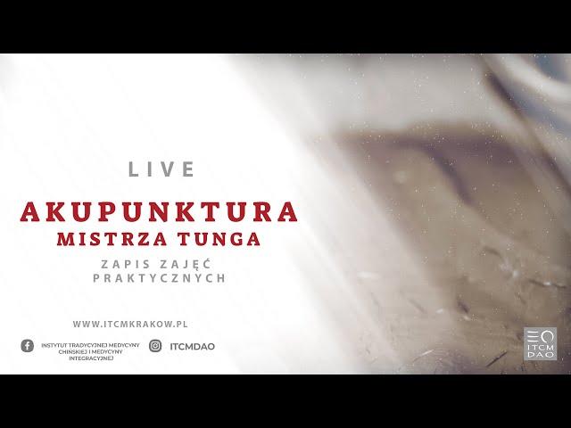 #31 Akupunktura Mistrza Tunga #1 | Zapis Live - ITCM DAO