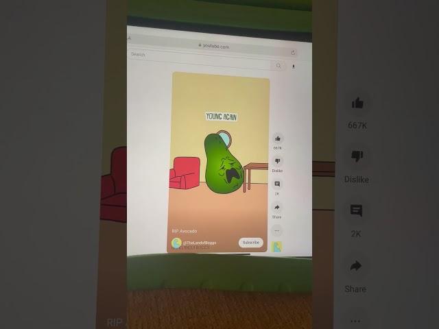 The avocado expired