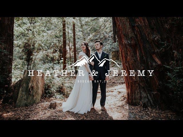 Most EPIC elopement EVER!!! - Wedding in California Redwoods