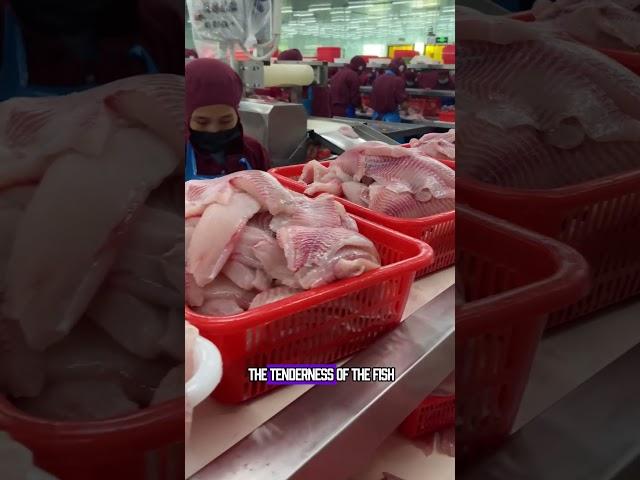 Why can’t American grilled fish make money in China?  #delicius #food #facts #streetfood