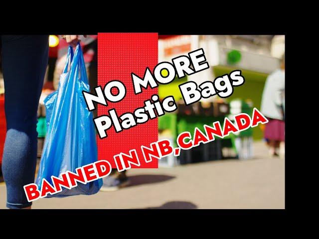 Plastic Checkout Bag Ban Begins in NB, Canada