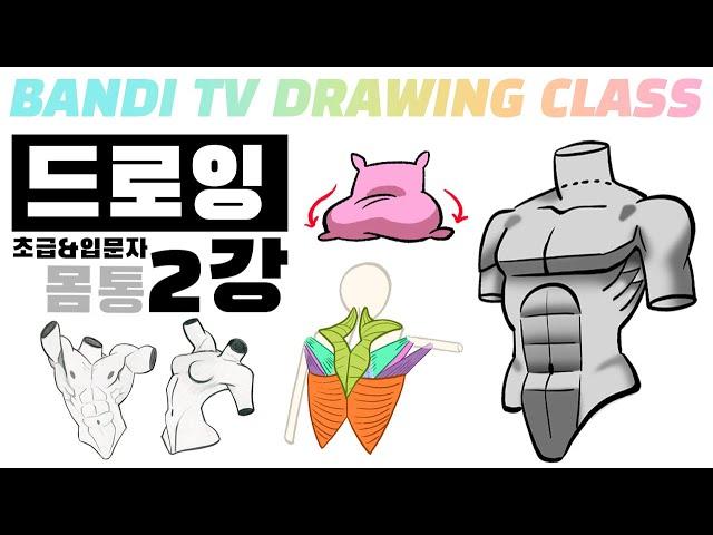 반디쌤과 함께하는 인체드로잉 2강 (몸통) How To Draw Figures / 사람그리는 법