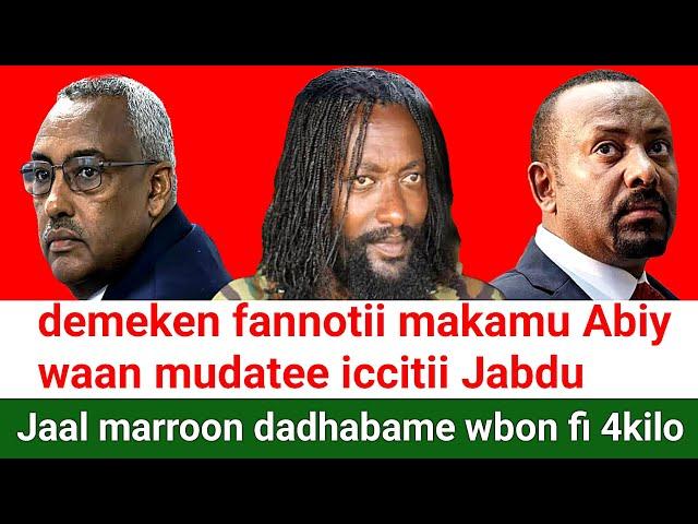 ODUU Ammee Jaal marroo  demeke mekonnen  Abiy Ahmed wbo fannoo | Moha Oromo