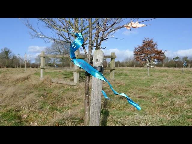 Ribbons of Peace at Coventry Peace Orchard