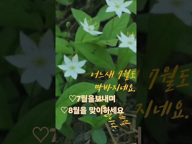 임은경채널