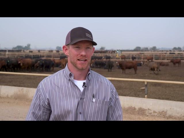 Five Rivers Feedyard