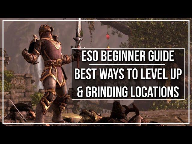 ESO Beginner Guide - Best Ways to Level Up