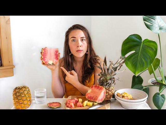 Trying the $50 GMO PINK PINEAPPLE?! 