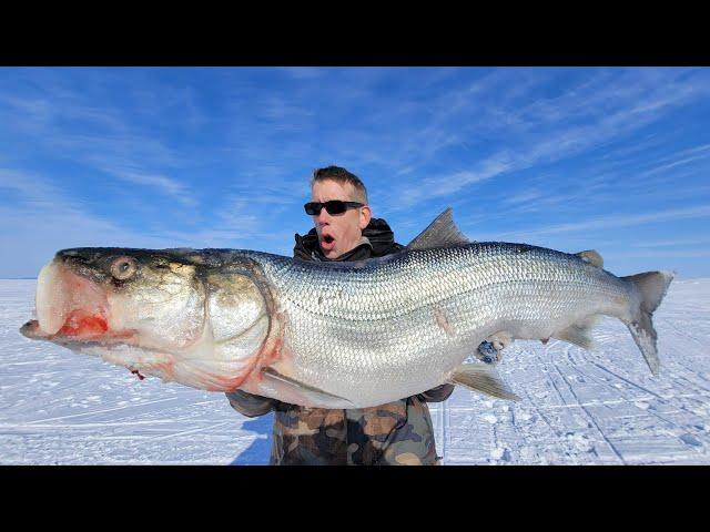 4 Day Fishing + Hunting Catch & Cook in an Inuit Village (Best Ice Fishing in the World)