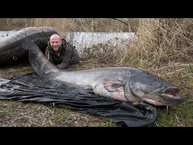 Welsmonster aus dem Baggersee