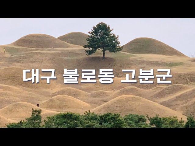 대구 한복판에 고대 국가의 흔적이 / 불로동 고분군 [대구 01]