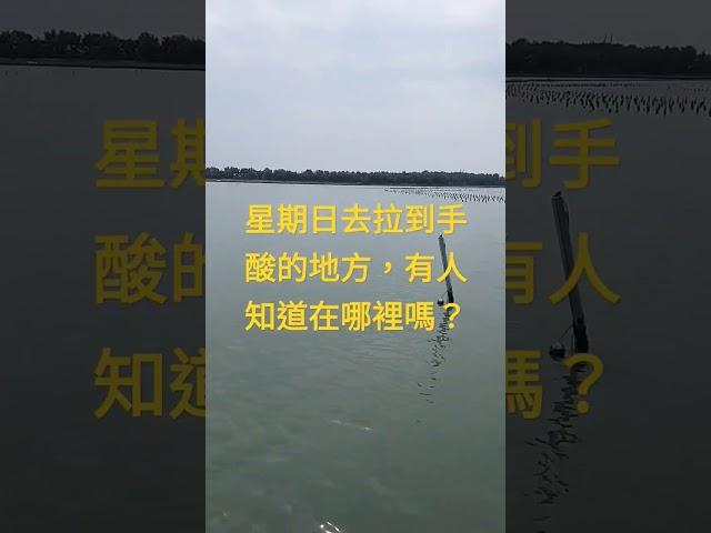 不會釣魚的好地方