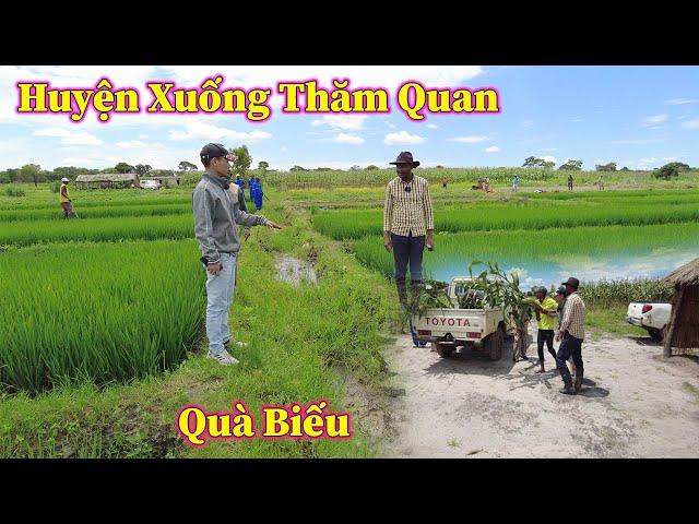 Chủ Tịch Huyện Cử Nhân Viên Xuống Thăm Quan Và Khảo Sát Cánh Đồng Lúa Trong Việt Phi Farm