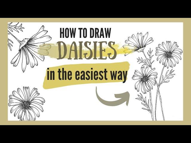 HOW TO DRAW DAISIES  - in the easiest way