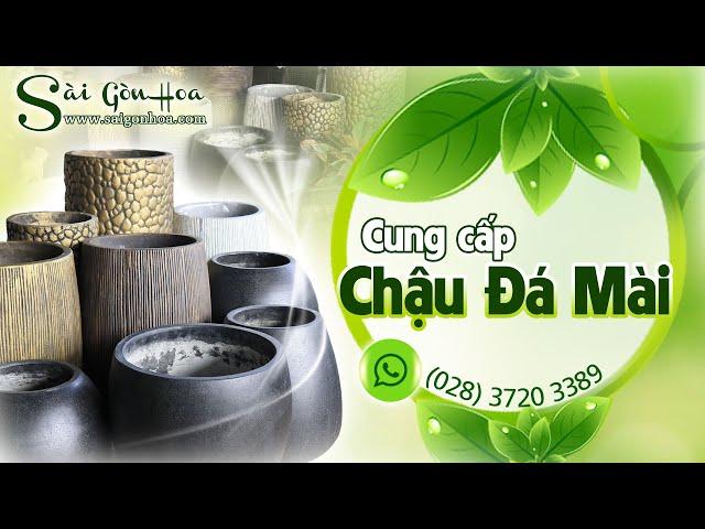 Nơi cung cấp Chậu đá mài tuyệt đẹp | Đá Mài Mẫu Mới | Sài Gòn Hoa