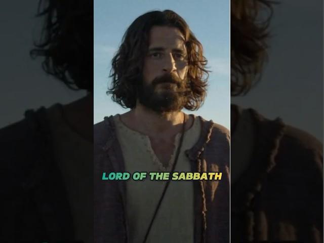Sabbath Was Made for Man – Matthew 12:1-8 #God #jesus #bible #christianity