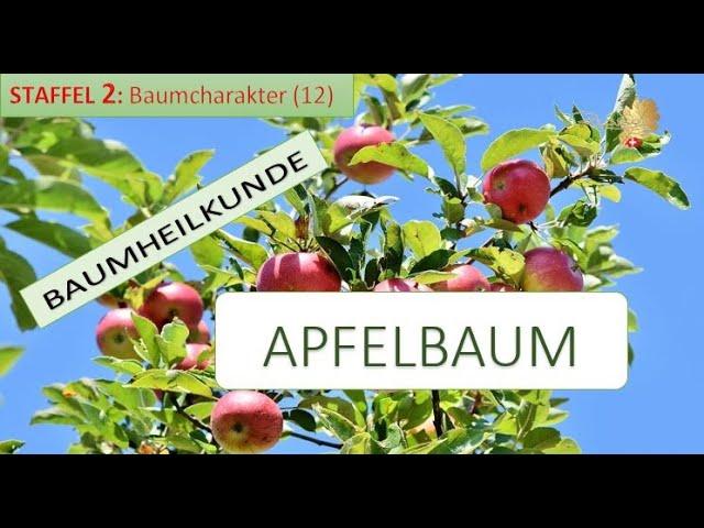 Der APFELBAUM in der Baumheilkunde - Doris Richter