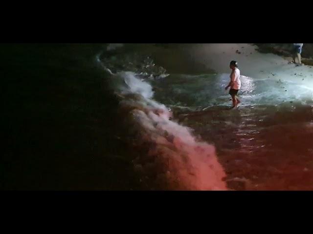 Shark on the beach - Sunny Isles, Miami, USA 2022