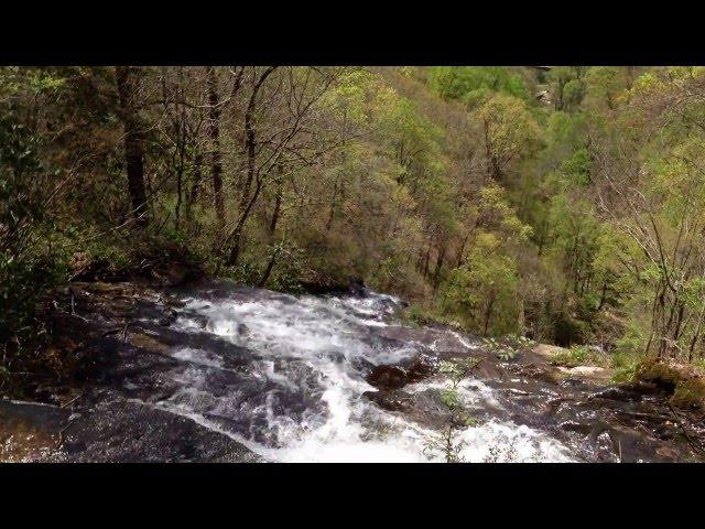 View of the waterfall  from  above. Вид на водопад сверху.