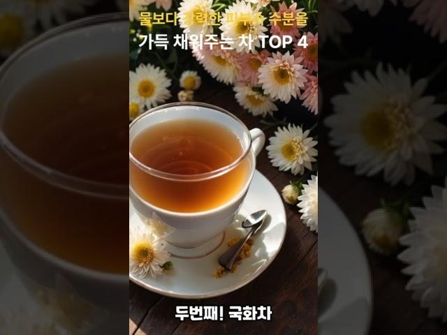 피부과 의사들도 추천하는 수분 채우는 차 TOP4