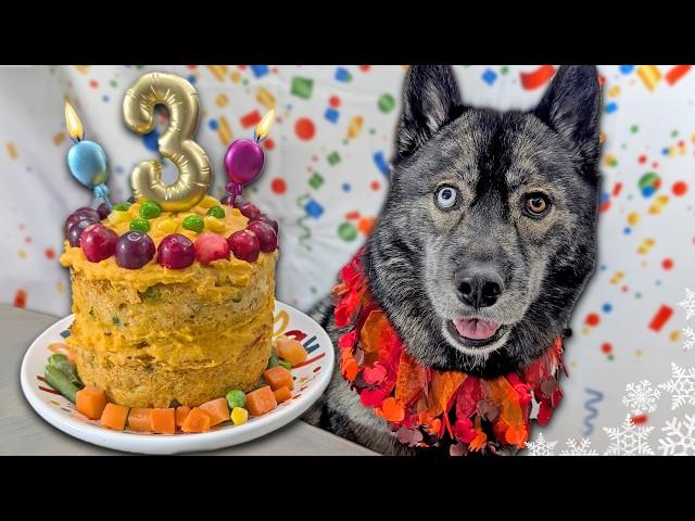 Turkey Feast Birthday Cake for Dogs   DIY Dog Treats | Thanksgiving for Dogs