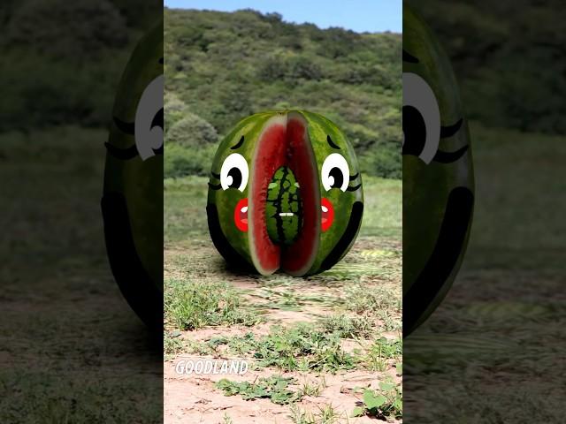 Goodland | The birth of a watermelon   #goodland #shorts #doodles #doodlesart