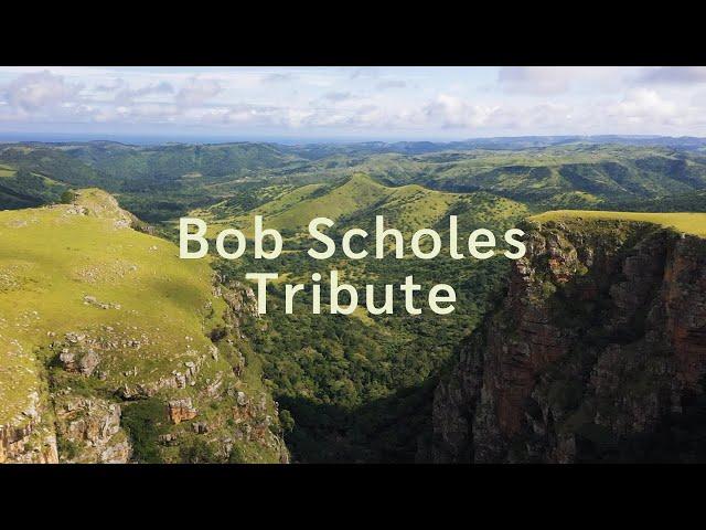 Bob Scholes Tribute | Systems Ecology