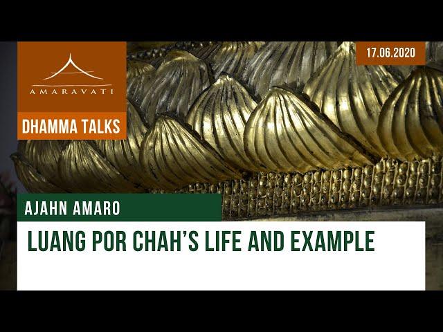 Luang Por Chah’s Life And Example | Ajahn Amaro | 17.06.2020