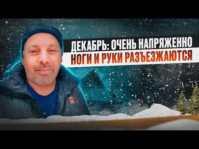 Обзор хозяйство в декабре за 20 минут...Легче не становится. "Мое Подворье"