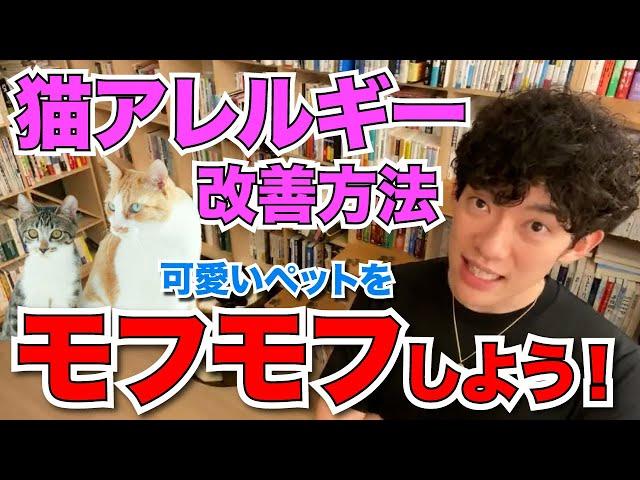 【DaiGo】猫アレルギーを改善する方法 可愛いペットをモフモフしよう！【切り抜き】