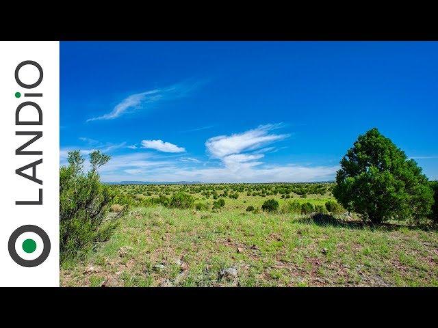 SOLD by LANDiO :  40 Acre Ranch in Arizona with Trees, Great Road Access & Amazing Views