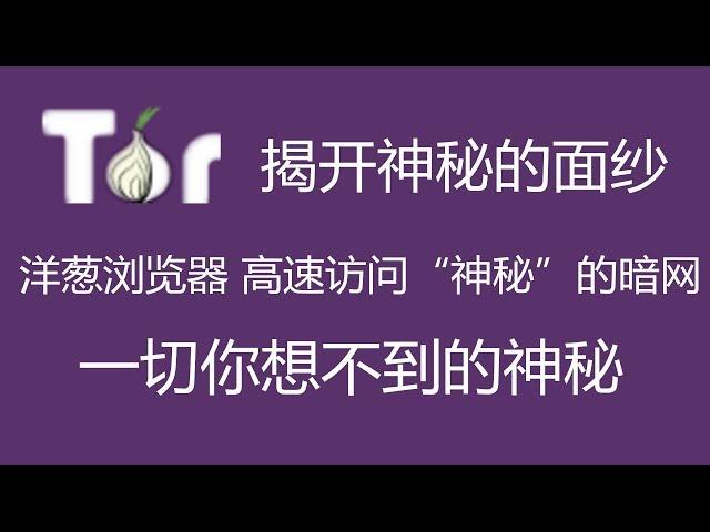 洋葱浏览器 高速访问“神秘”的暗网