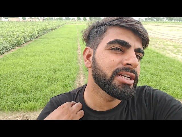 My First Vlog  | Dharma jaat | My First Vlog 2024 | Dharmbir Nunia #dharmaajaat #dharmbirnunia